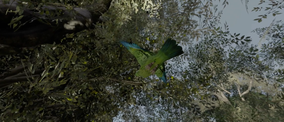 (Jungle Arrangement: Intestinal Bird) Arreglo Selvático: El Pájaro Intestino